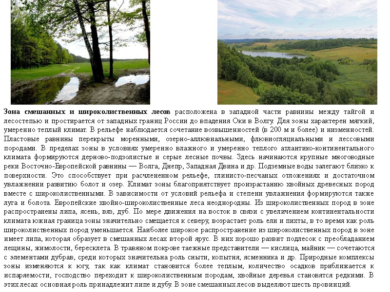 Зона смешанных и широколиственных лесов расположена в западной части равнины между тайгой и лесостепью